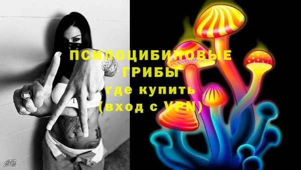 ешки Коряжма