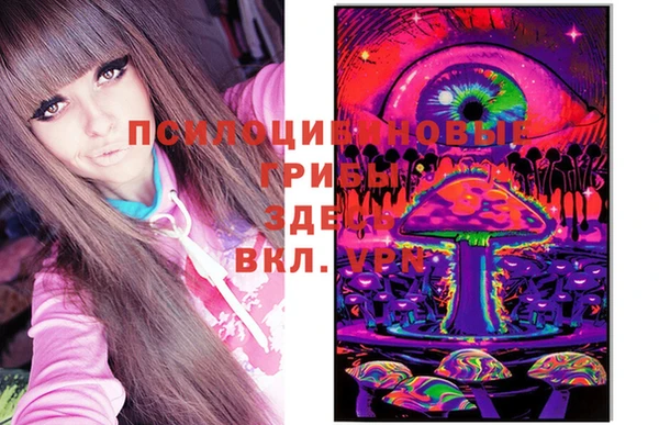 ешки Коряжма