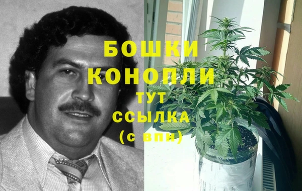 2c-b Корсаков